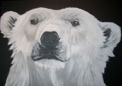 polar bear 2